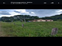 Sítio para Venda em Cunha - 5