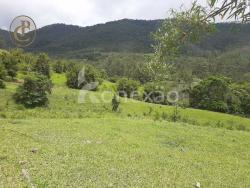 #1274 - Fazenda para Venda em Paraibuna - SP