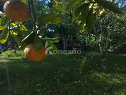 Chácara para Venda em Paraibuna - 3