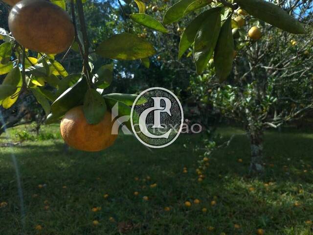 Chácara para Venda em Paraibuna - 3
