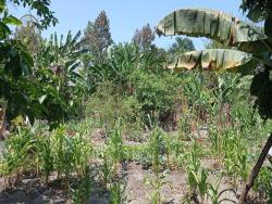 Terreno para Venda em Jacareí - 5