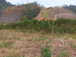 #1280 - Terreno para Venda em Paraibuna - SP