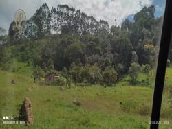 Chácara para Venda em Paraibuna - 5