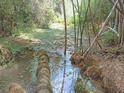 Sítio para Venda em Paraibuna - 4