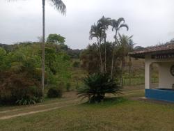 #1298 - Sítio para Venda em Paraibuna - SP