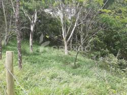 Fazenda para Venda em Paraibuna - 5