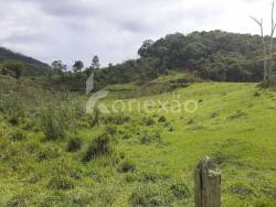 Venda em Cedro - Paraibuna