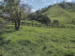 Fazenda para Venda em Itamonte - 4