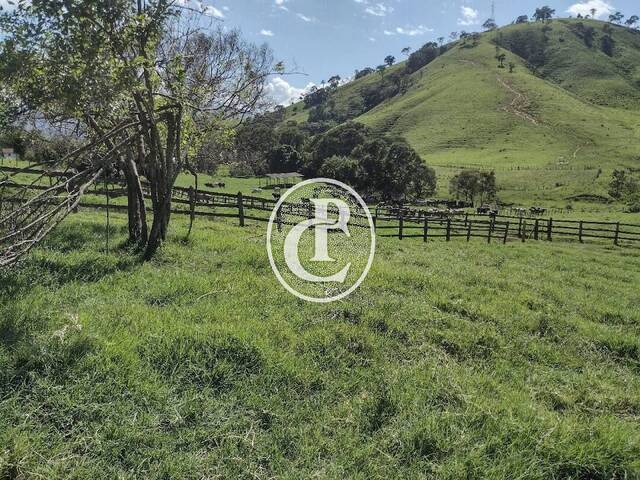 Fazenda para Venda em Itamonte - 4