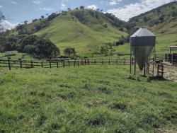 Fazenda para Venda em Itamonte - 5