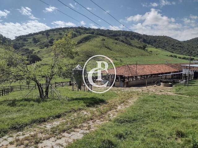 Fazenda para Venda em Itamonte - 3