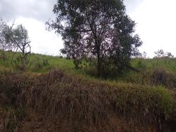 #1328 - Chácara para Venda em São José dos Campos - SP