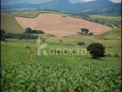 #112 - Fazenda para Venda em Carmo de Minas - MG