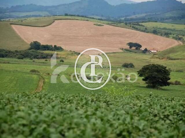 Fazenda para Venda em Carmo de Minas - 2