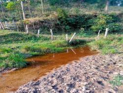#1356 - Fazenda para Venda em São Luíz do Paraitinga - SP