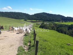 Venda em Centro - Salesópolis