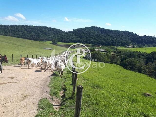 Fazenda para Venda em Salesópolis - 2