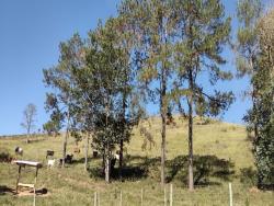 Sítio para Venda em Lagoinha - 5