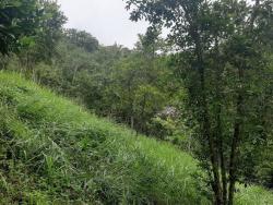 Chácara para Venda em Natividade da Serra - 5
