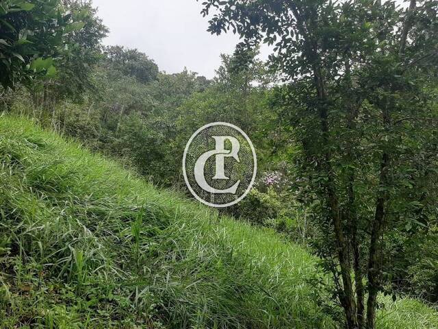 Chácara para Venda em Natividade da Serra - 5