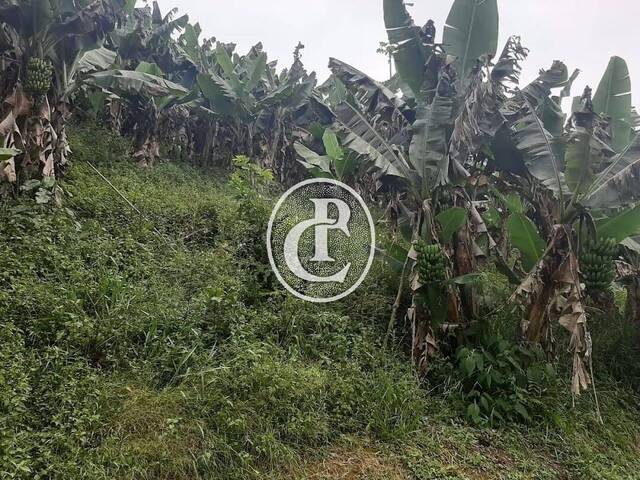 #118 - Chácara para Venda em Natividade da Serra - SP
