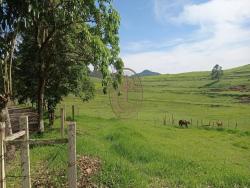 #1393 - Fazenda para Locação em Santa Branca - SP