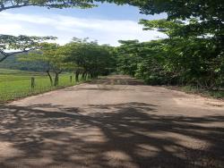 #1393 - Fazenda para Locação em Santa Branca - SP