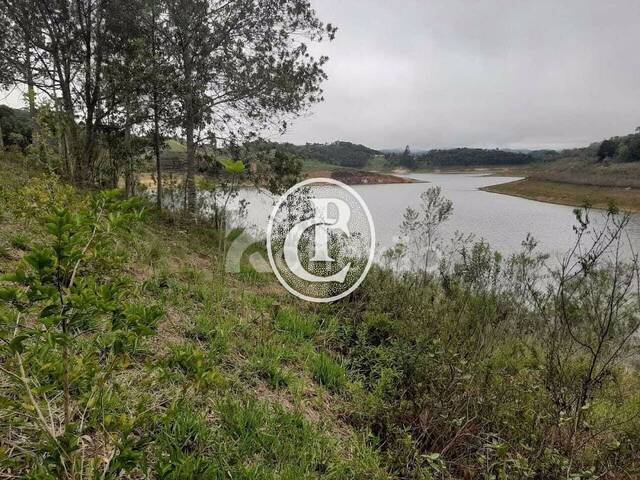 Chácara para Venda em Paraibuna - 5
