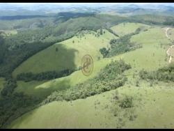 #1395 - Fazenda para Venda em Bom Jardim de Minas - MG