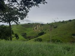 #1396 - Sítio para Venda em Paraibuna - SP