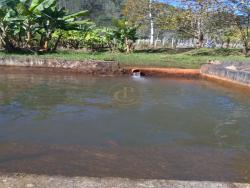 #1413 - Chácara para Venda em Monteiro Lobato - SP