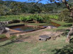 #1413 - Chácara para Venda em Monteiro Lobato - SP
