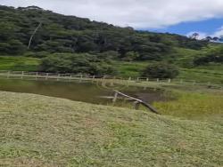 #1417 - Fazenda para Venda em Paraibuna - SP