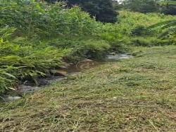 #1417 - Fazenda para Venda em Paraibuna - SP