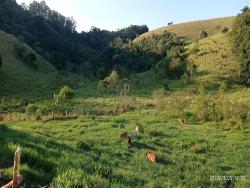 #1422 - Fazenda para Venda em São José dos Campos - SP