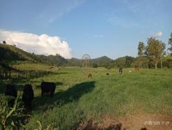 #1422 - Fazenda para Venda em São José dos Campos - SP