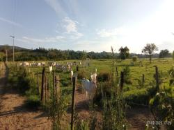 #1422 - Fazenda para Venda em São José dos Campos - SP