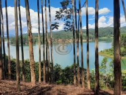 Fazenda para Venda em Paraibuna - 4