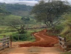 #1433 - Sítio para Venda em São José dos Campos - SP