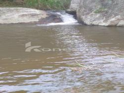 Fazenda para Venda em Lorena - 4