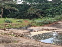 #1445 - Terreno para Venda em Jambeiro - SP