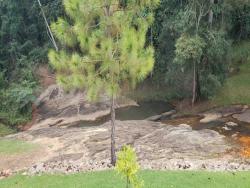#1445 - Terreno para Venda em Jambeiro - SP
