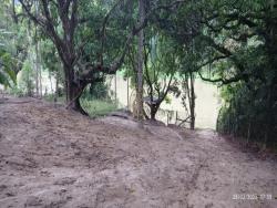 Chácara para Venda em Santa Branca - 4