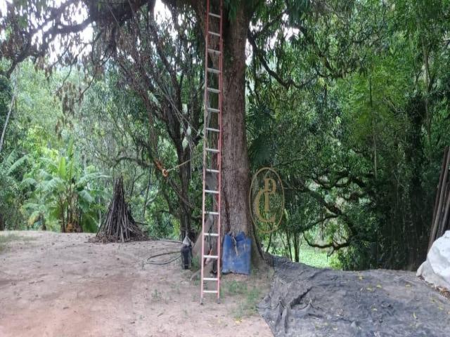 #1451 - Chácara para Venda em Santa Branca - SP