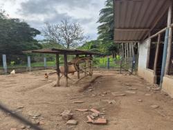 Sítio para Venda em Paraibuna - 4