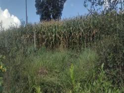 Fazenda para Venda em Aiuruoca - 4