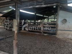 Fazenda para Venda em Paraibuna - 4