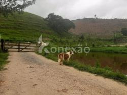 Fazenda para Venda em Paraibuna - 2