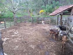 Fazenda para Venda em Paraibuna - 4