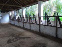 Fazenda para Venda em Paraibuna - 3